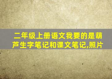 二年级上册语文我要的是葫芦生字笔记和课文笔记,照片