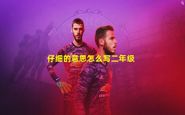 仔细的意思怎么写二年级