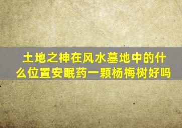 土地之神在风水墓地中的什么位置安眠药一颗杨梅树好吗
