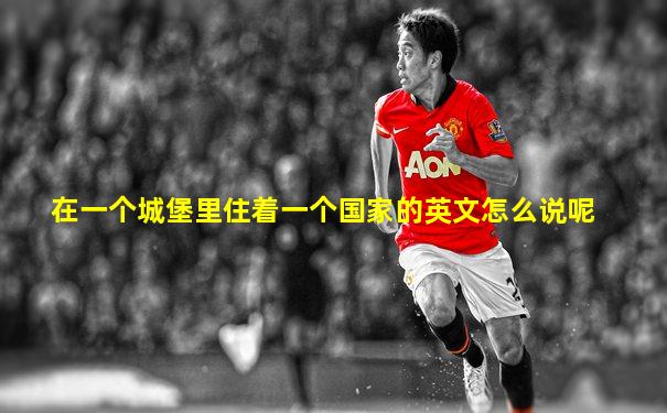 在一个城堡里住着一个国家的英文怎么说呢