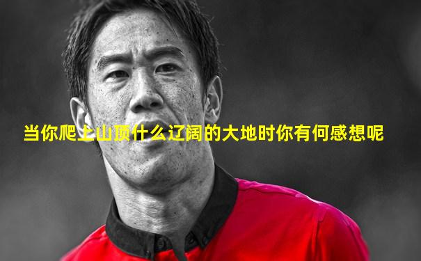 当你爬上山顶什么辽阔的大地时你有何感想呢