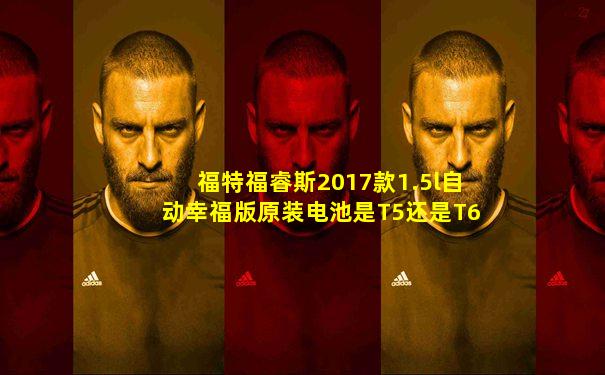 福特福睿斯2017款1.5l自动幸福版原装电池是T5还是T6