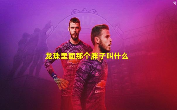 龙珠里面那个胖子叫什么