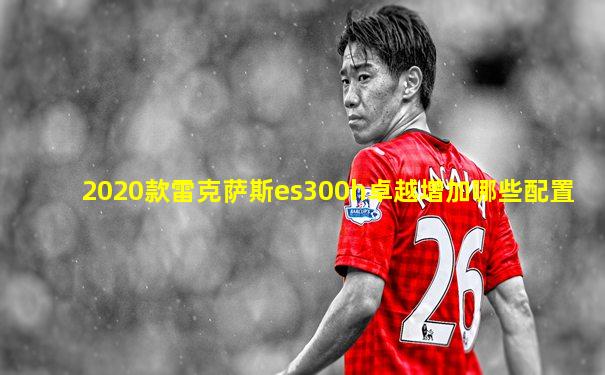 2020款雷克萨斯es300h卓越增加哪些配置