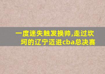 一度迷失触发换帅,走过坎坷的辽宁迈进cba总决赛