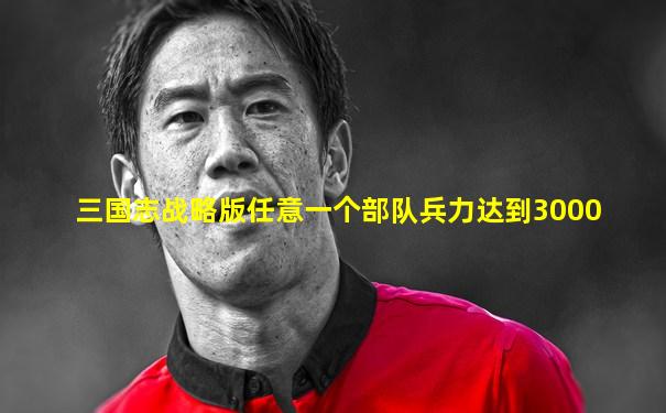 三国志战略版任意一个部队兵力达到3000
