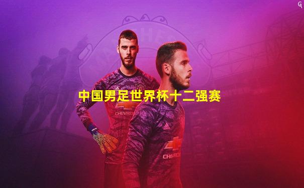中国男足世界杯十二强赛