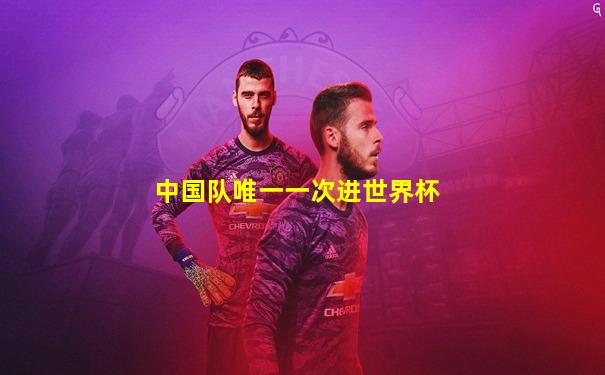 中国队唯一一次进世界杯
