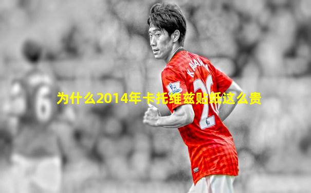 为什么2014年卡托维兹贴纸这么贵