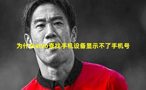 为什么vivo查找手机设备显示不了手机号