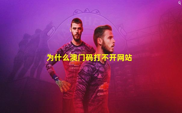 为什么澳门码打不开网站