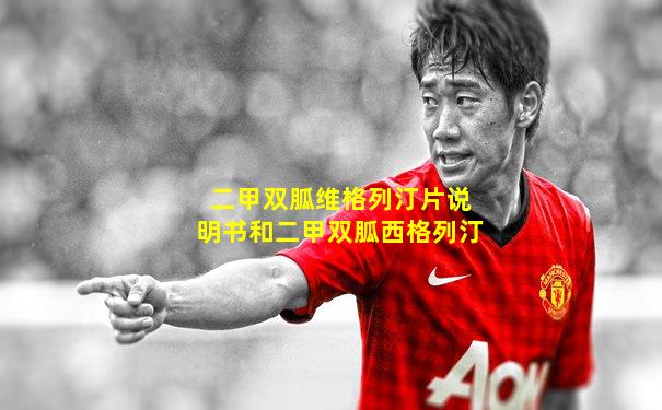 二甲双胍维格列汀片说明书和二甲双胍西格列汀