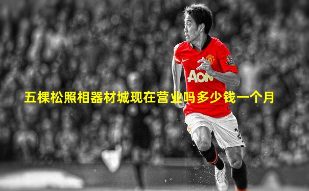 五棵松照相器材城现在营业吗多少钱一个月