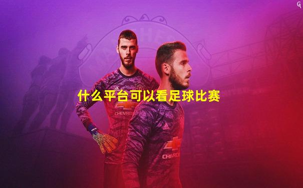 什么平台可以看足球比赛