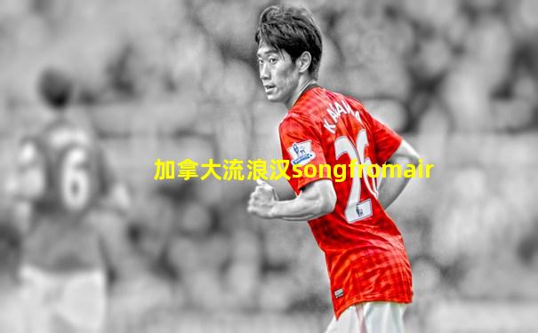 加拿大流浪汉songfromair