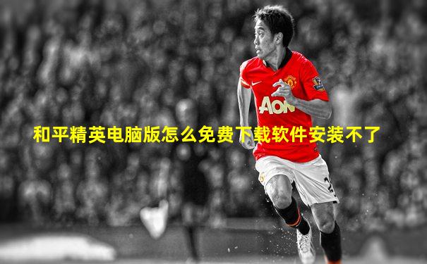 和平精英电脑版怎么免费下载软件安装不了