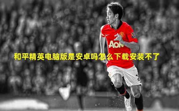 和平精英电脑版是安卓吗怎么下载安装不了