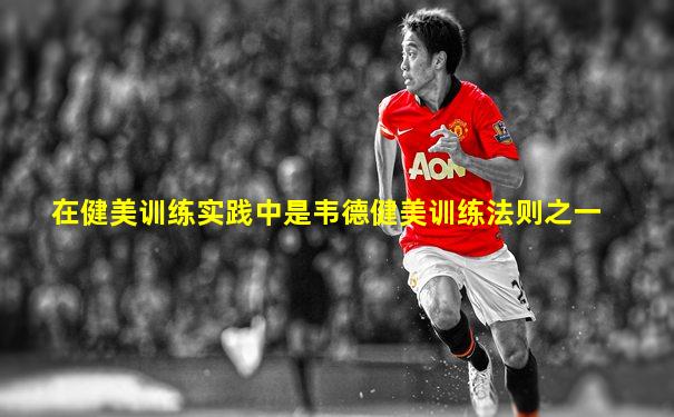 在健美训练实践中是韦德健美训练法则之一