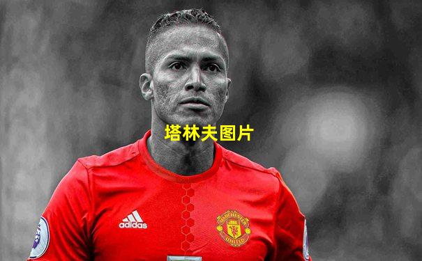 塔林夫图片