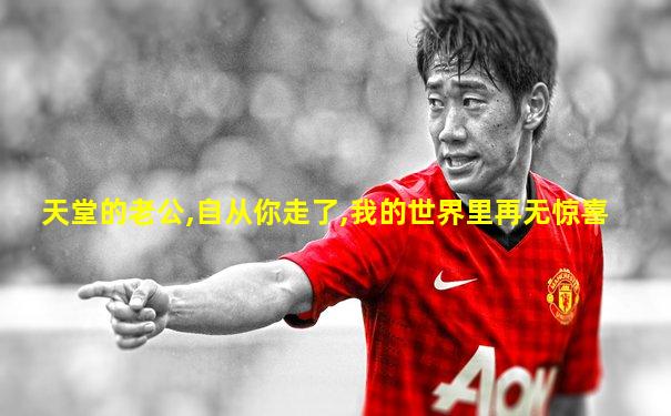 天堂的老公,自从你走了,我的世界里再无惊喜