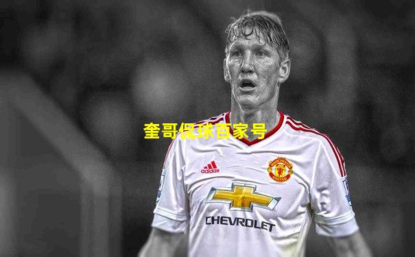 奎哥侃球百家号