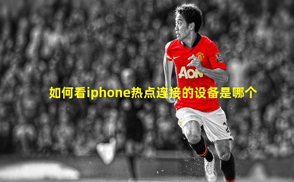 如何看iphone热点连接的设备是哪个