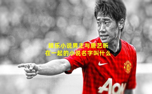 娱乐小说男主与唐艺昕在一起的小说名字叫什么