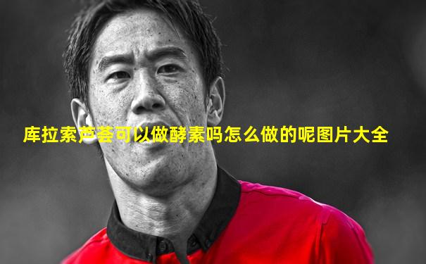 库拉索芦荟可以做酵素吗怎么做的呢图片大全