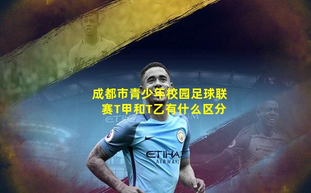 成都市青少年校园足球联赛T甲和T乙有什么区分