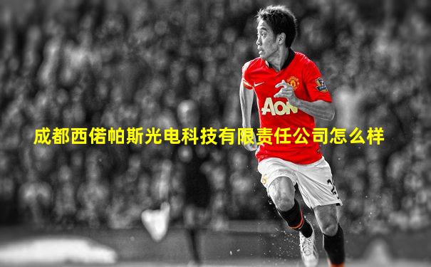 成都西偌帕斯光电科技有限责任公司怎么样