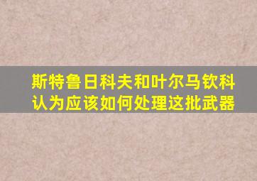 斯特鲁日科夫和叶尔马钦科认为应该如何处理这批武器