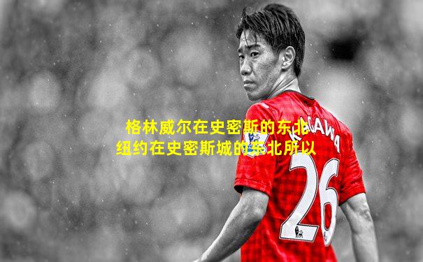 格林威尔在史密斯的东北纽约在史密斯城的东北所以