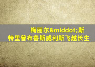 梅丽尔·斯特里普布鲁斯威利斯飞越长生