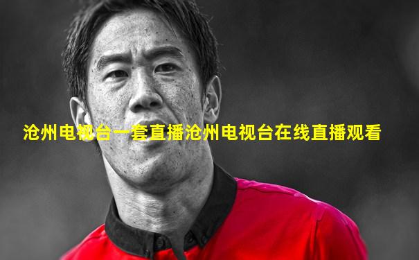 沧州电视台一套直播沧州电视台在线直播观看