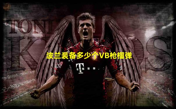 波兰装备多少个VB枪榴弹