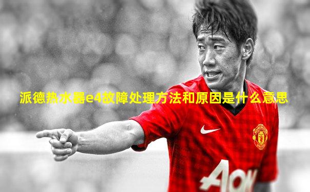 派德热水器e4故障处理方法和原因是什么意思