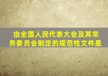 由全国人民代表大会及其常务委员会制定的规范性文件是