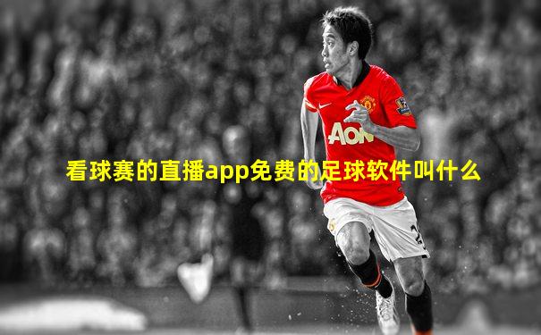 看球赛的直播app免费的足球软件叫什么
