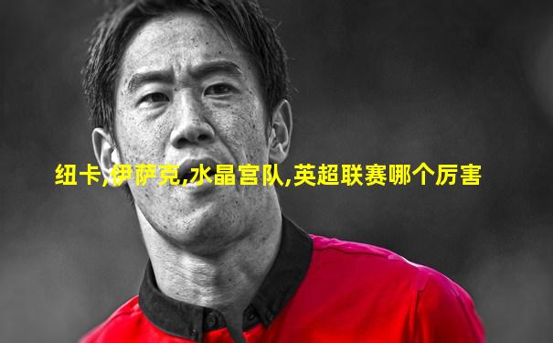 纽卡,伊萨克,水晶宫队,英超联赛哪个厉害