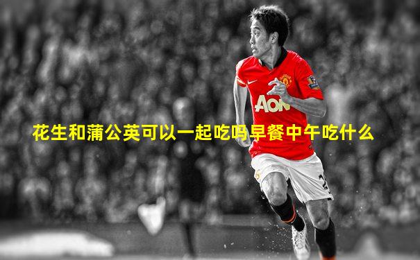 花生和蒲公英可以一起吃吗早餐中午吃什么
