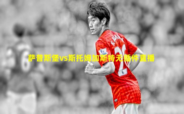 萨普斯堡vs斯托姆加斯特无插件直播