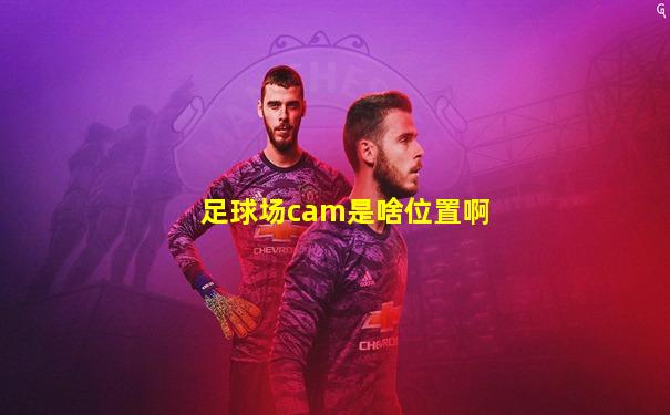 足球场cam是啥位置啊