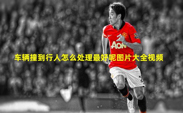 车辆撞到行人怎么处理最好呢图片大全视频