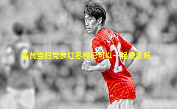 黄芪当归党参红枣枸杞可以一起煲汤吗